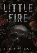 Little Fire