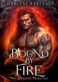 Bound By Fire (The Stone Legacy #4)