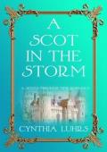 A Scot in the Storm (A Scots Through Time Romance #6)