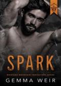 Spark (Montana Mountain Protectors #7)