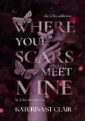 Where Your Scars Meet Mine (The Shadows of Darkness Universe #4)