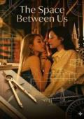 THE SPACE BETWEEN US
