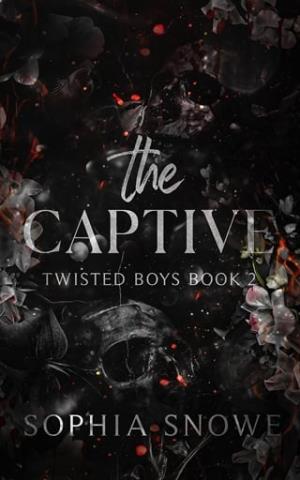 The Captive (Twisted Boys #2)