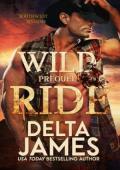 Wild Ride (Southwest Sinners: Prequel)