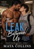 The Leak Between Us (Rough Hands Hearts #1)