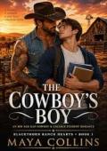 The Cowboy's Boy (Blackthorn Ranch Hearts #1)