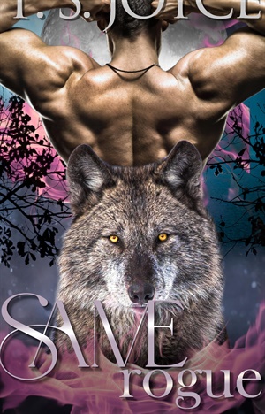 Same Rogue (Same #6)