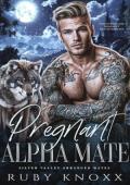 Pregnant Alpha Mate (Silver Valley Arranged Mates #3)