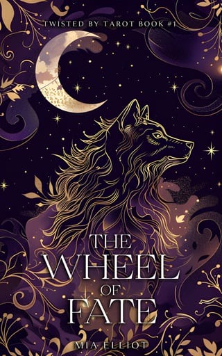 The Wheel of Fate (Twisted by Tarot #1)