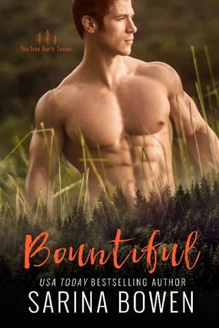 Bountiful (True North: Small Town Romance #4)
