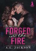 Forged in the Fire (Crimson Crows #1)