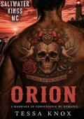 Orion (Saltwater Kings MC #13)