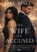 The Wife He Accused (Billionaire Grovel and Redemption #1)