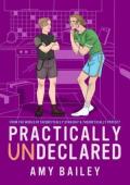 Practically Undeclared: From The World of Theoretically Straight