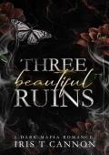 Beautiful Ruins (Beautifully Ruined #3)