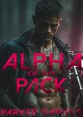 Alpha of the Pack (Night Stalkers MC #1)