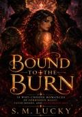 Bound to the Burn (Dark Why Choose Worlds #10)