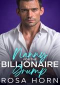 Nanny for the Billionaire Grump