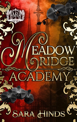Sealed (Meadow Ridge Academy #1)