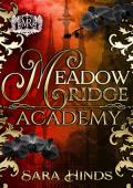 Sealed (Meadow Ridge Academy #1)