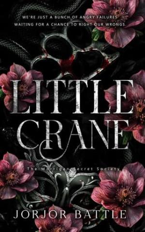 Little Crane (The Morrígan Secret Society #1)