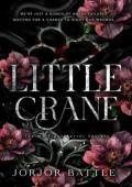 Little Crane (The Morrígan Secret Society #1)