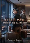 Little Wolf Taken by the Beijing Heir