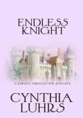 Endless Knight (A Knights Through Time Romance #23)