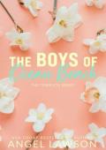 Boys of Ocean Beach