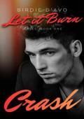 Crash (Let It Burn #1)