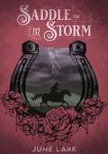 Saddle the Storm (Thornbrush Ranch, #3)