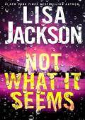Not What It Seems (Pierce Reed/Nikki Gillette #5)