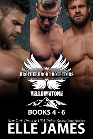 BROTHERHOOD PROTECTORS YELLOWSTONE BOXED SET 2