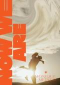 Now We Are (Every Summer After #3)
