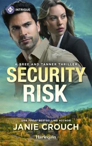 Security Risk (Risk #2)