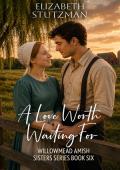 A Love Worth Waiting For (Willowmead Amish Sisters #6)