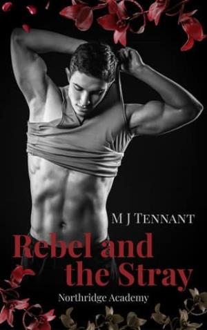 The Rebel and the Stray (The Northridge Academy #1)