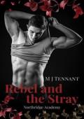 The Rebel and the Stray (The Northridge Academy #1)