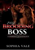 My Brooding Boss (Eidolon Nights #4)