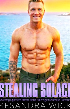 Stealing Solace (H.A.V.E.N. Hidden Ally Vigilante Extraction Network #8)