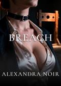 Breach (BDSM Bedtime Stories)