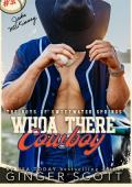 Whoa There Cowboy (The Boys of Sweetwater Springs #4)