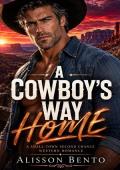 A Cowboy's Way Home (The Wild Sky Legacy #18)