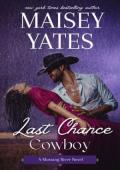 Last Chance Cowboy (Mustang River #2)