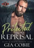 Protected from Reprisal (Blade and Arrow Shadow Team #4)