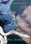 Lay It Bare (Sanctum #2)