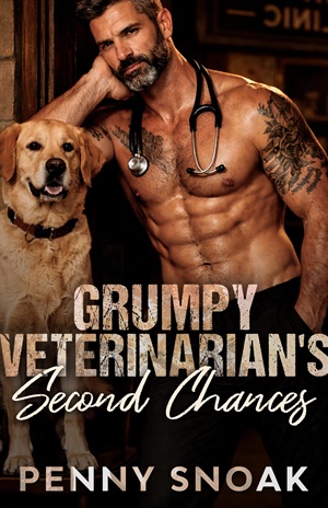 Grumpy Veterinarian's Second Chances (Small Town Grumpy Sunshine #7)