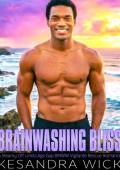Brainwashing Bliss (H.A.V.E.N. Hidden Ally Vigilante Extraction Network #9)