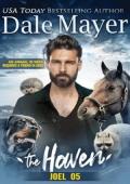 Joel (The Haven #5)