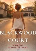 Across The Court (Blackwood Court #1)